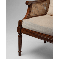 Nayara rattan arm sheesham chair - Image 7